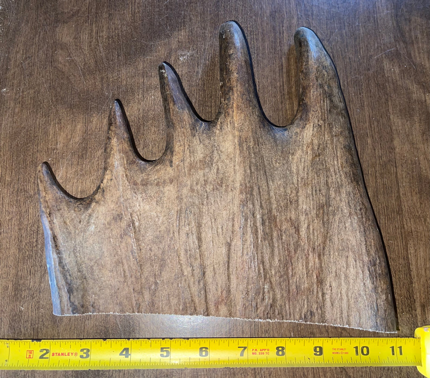 Sept-72-Monster Moose Paddle XL for good chewers