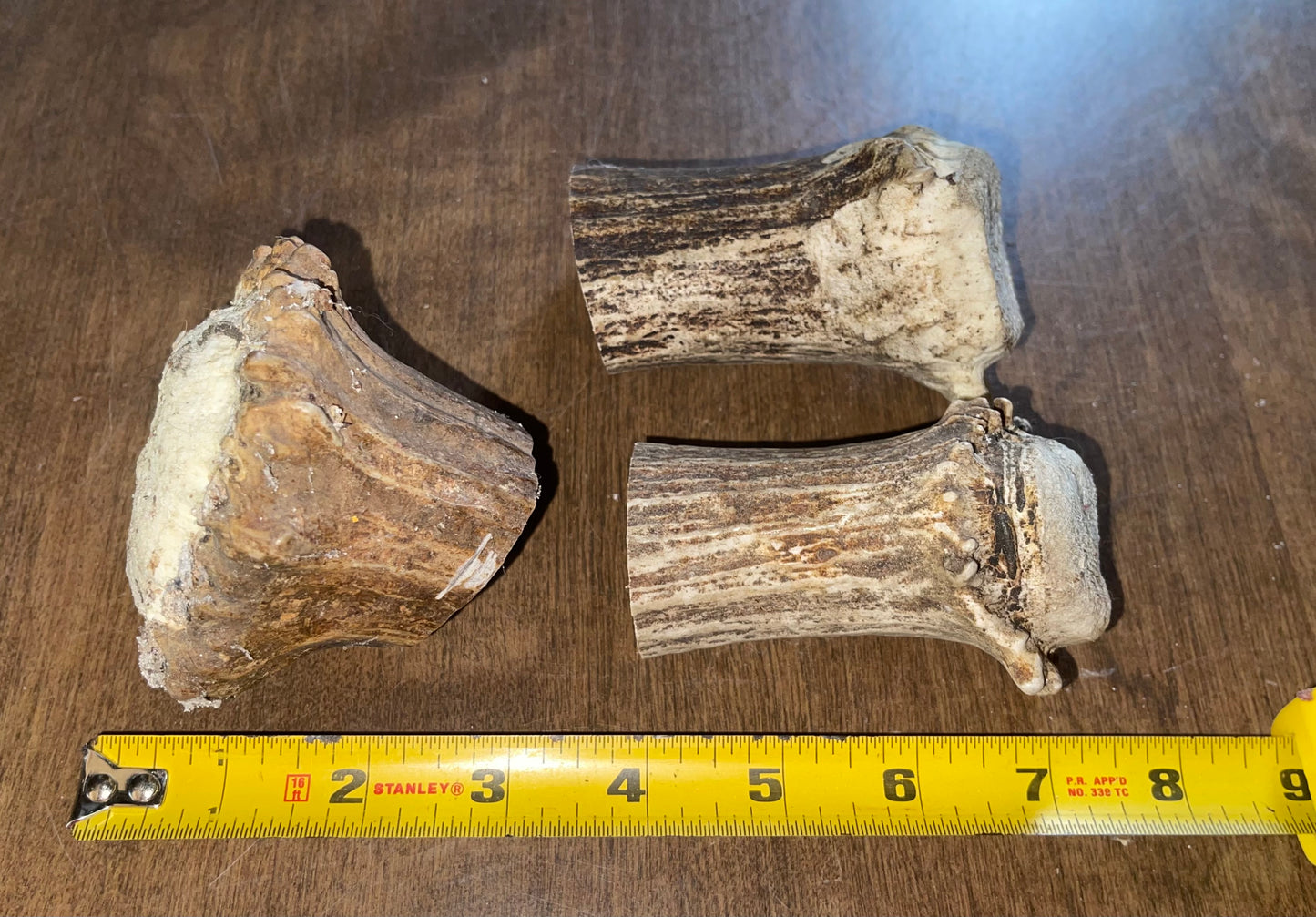 June-17 Moose Burr Trio for very good chewers ( dogs up to 45 lbs)