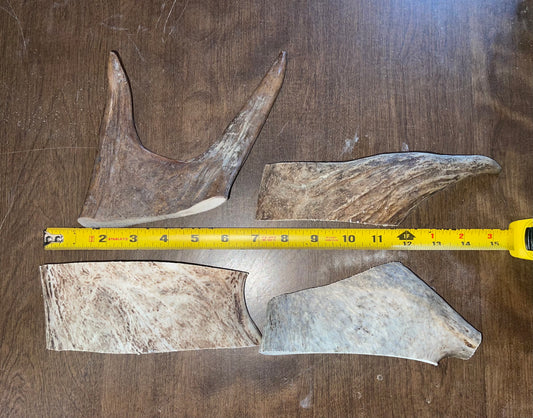 April48 4 Piece Moose Paddle Deal Medium size