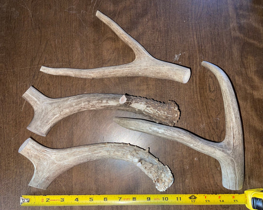 April64 Deer 4 Piece for good chewers