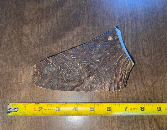 Sept-18-Moose Paddle Chunk For very good chewers