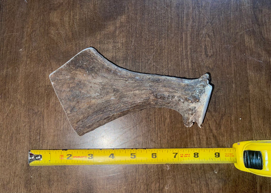 July-8 Moose Beam for good chewers