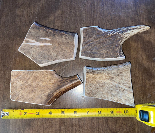 Aug-13 Moose paddle 4 piece (medium dogs) for good  chewers