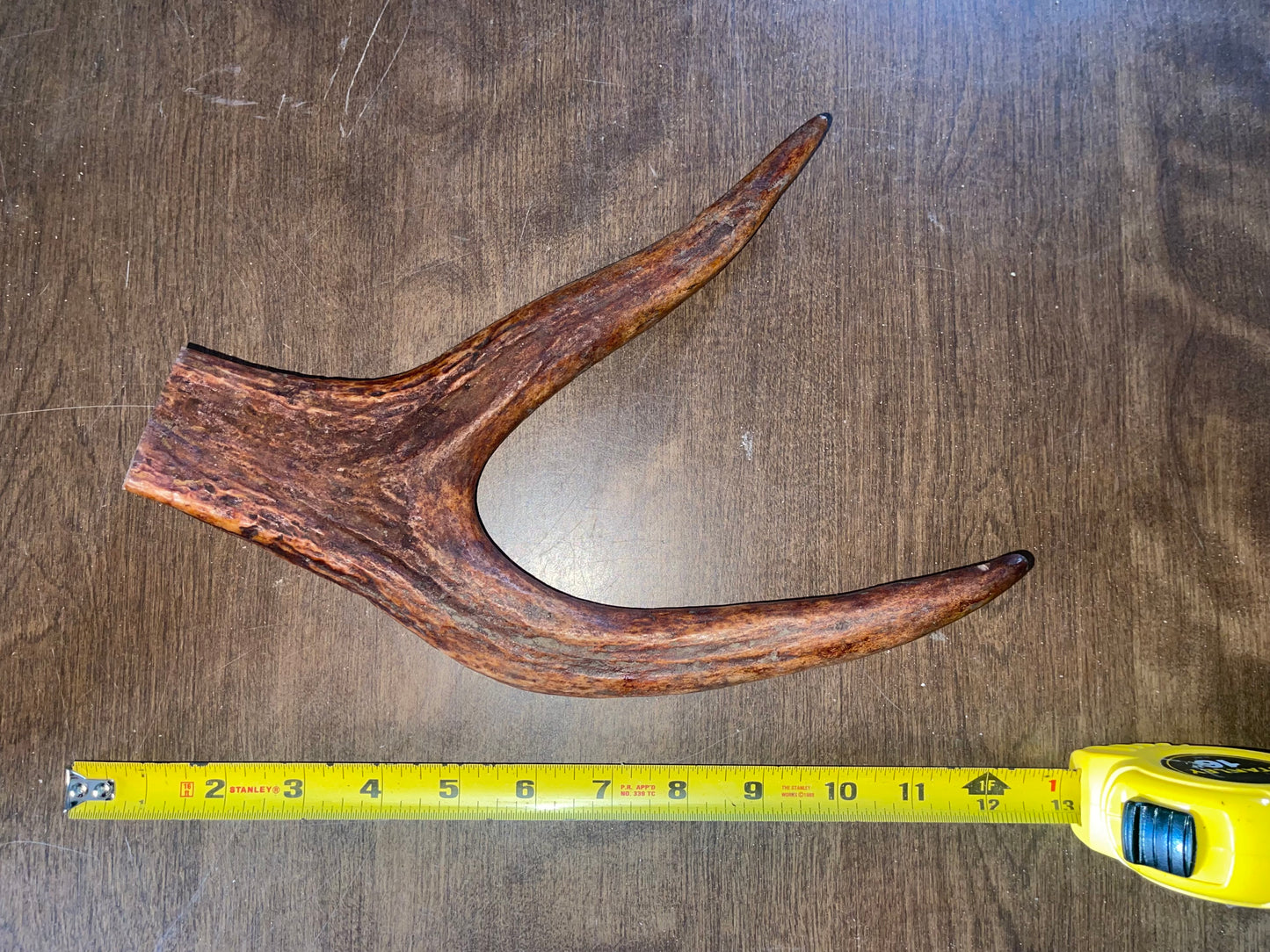 CL10-Monster Moose Claw