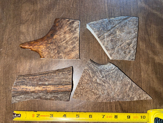 Sept-39-Small Moose Paddle Grab Bag for to medium to good chewers ( scratch and dent)