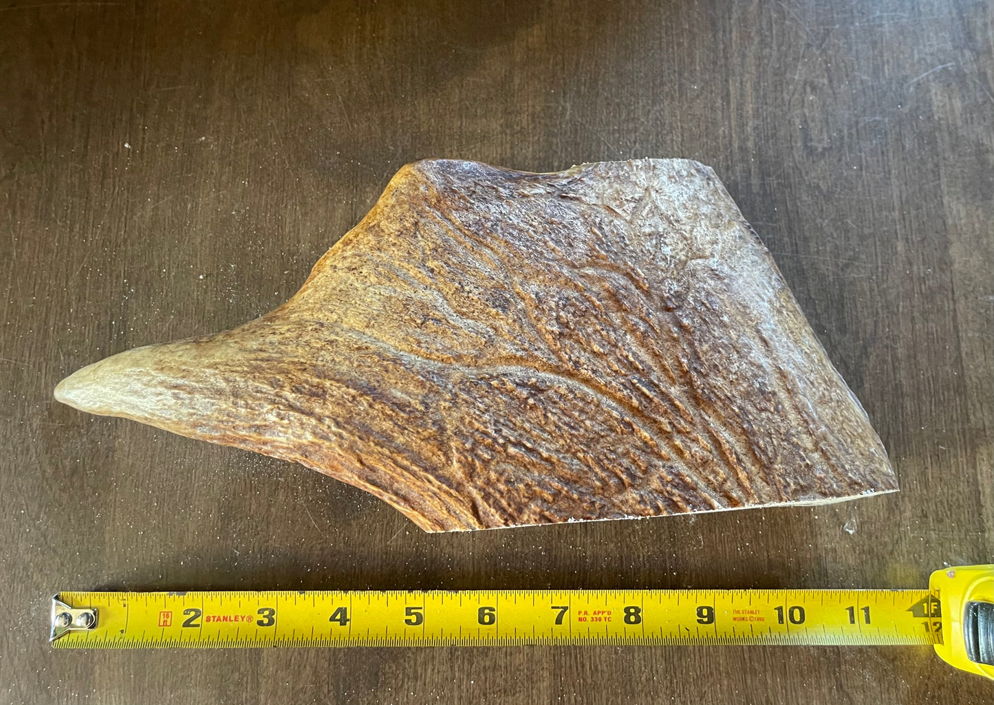 Sept-6 Monster Moose Paddle Chunk X-Large for good chewers