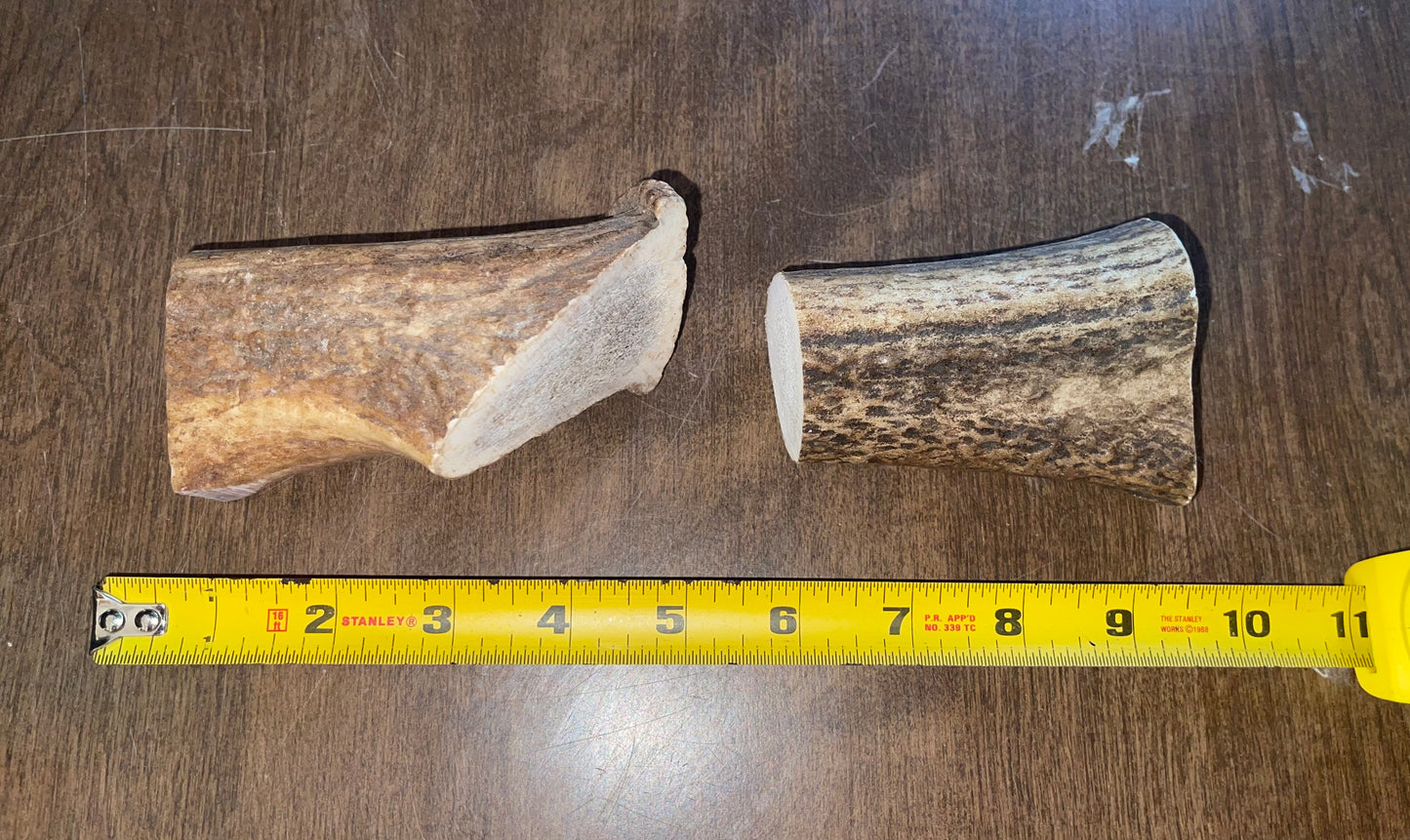 May13 Elk Burr Duo for very good chewers