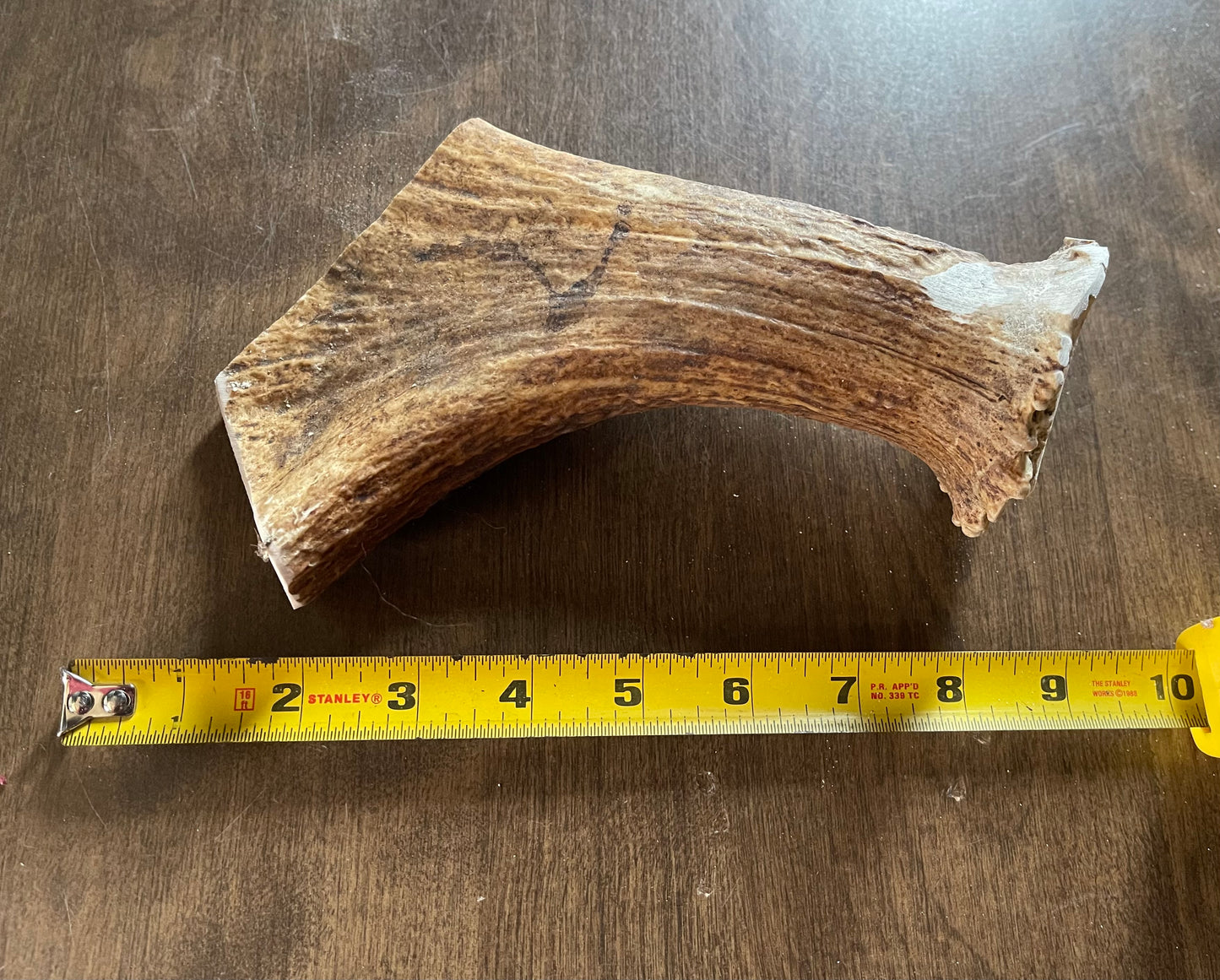 Dec-1-Monster Moose Beam Large for good to very good chewers