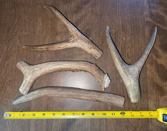 April65 Deer 4 Piece for good chewers