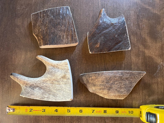 Aug-15 Moose paddle 4 piece ( small dogs) for good  chewers