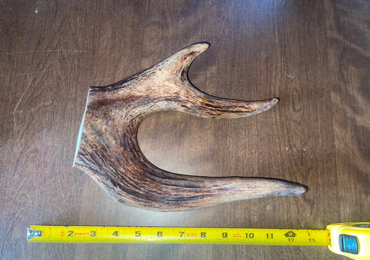 Feb6 Moose Claw