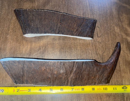 March-7 Large Moose Paddle Duo  for good chewers