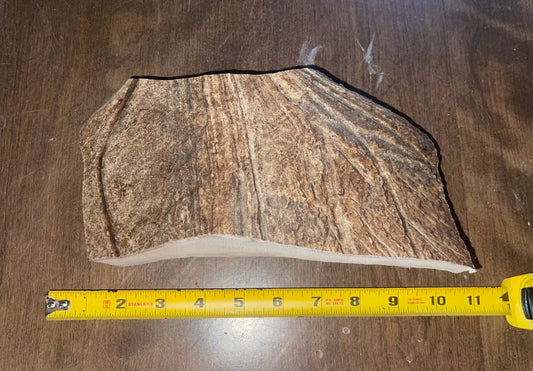 May22 Moose Paddle Chunk for good to very good chewers