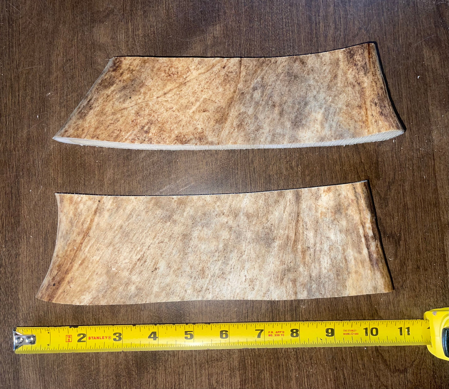 March-11 XLarge Moose Paddle Duo  for good chewers