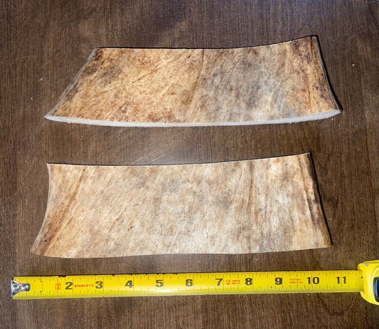 March-11 XLarge Moose Paddle Duo  for good chewers