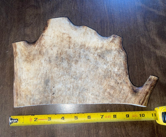 March-3 Monster Moose Paddle XLarge for medium to good chewers ( less dense paddle)