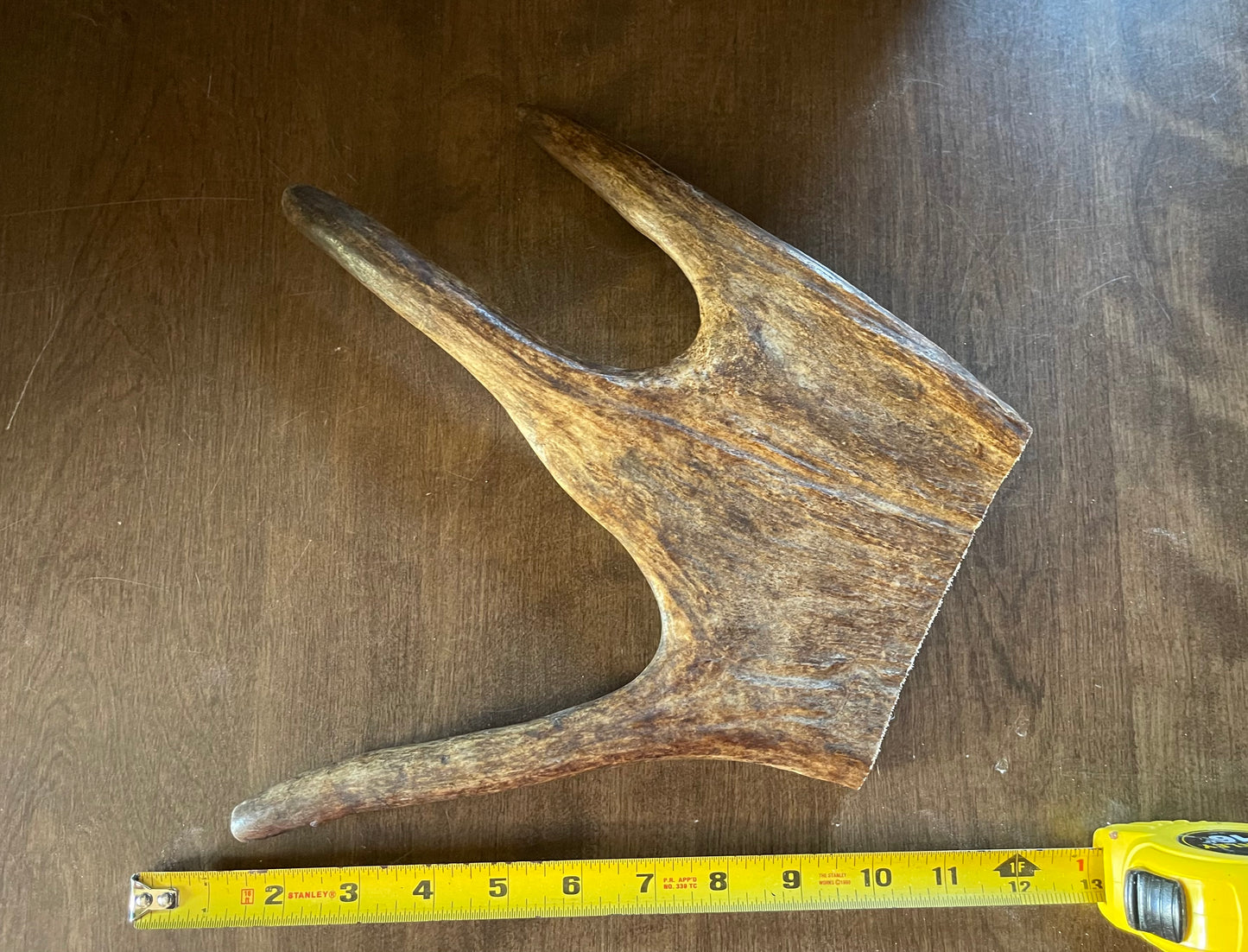 Sept-2 Monster Moose Paddle X-Large for good chewers