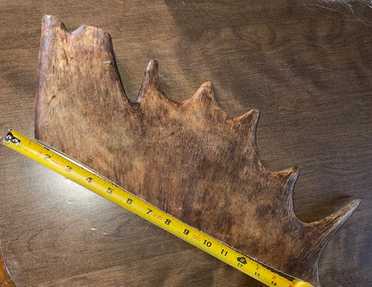 Dec-5 Monster Moose XL Paddle for Medium to good chewers