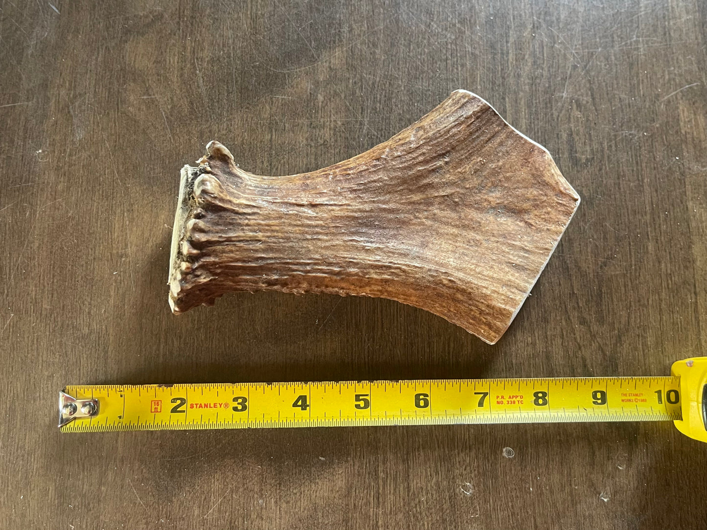 July-3 Moose Beam for very good chewers
