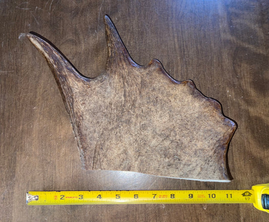 Aug-49 Monster Moose Paddle XL for Good chewers