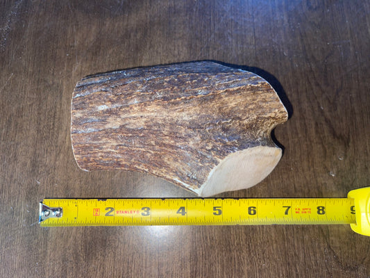 Sept-13-Moose Chunk For very good chewers