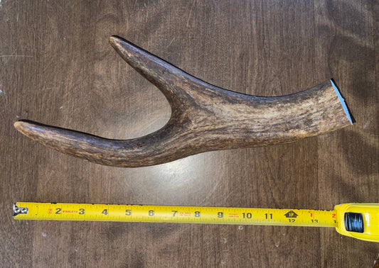 Sept-59-Monster Moose Claw for powerful chewers