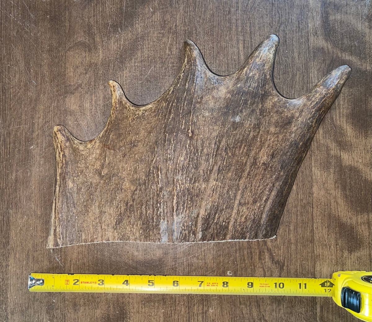 Sept-30 Monster Moose Paddle XL for good chewers