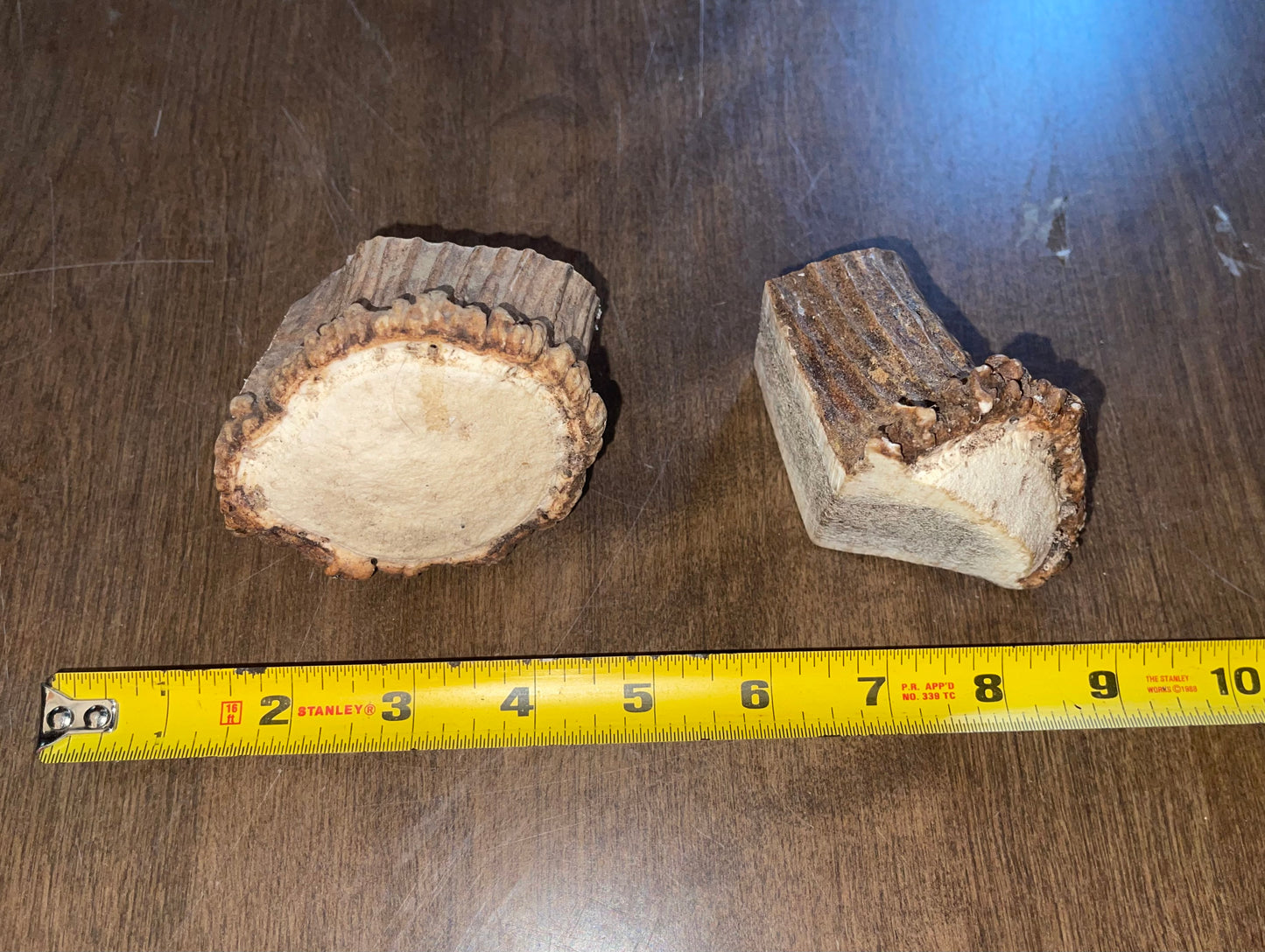 May13 Elk Burr Duo for very good chewers