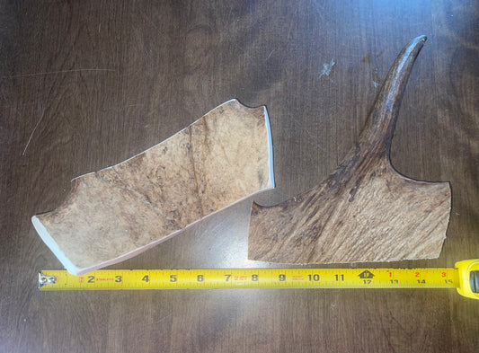 April56 Moose Paddle/Tine Duo
