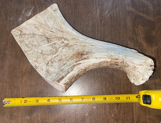 Aug-1   2XL Monster Moose Beam for Powerful chewers