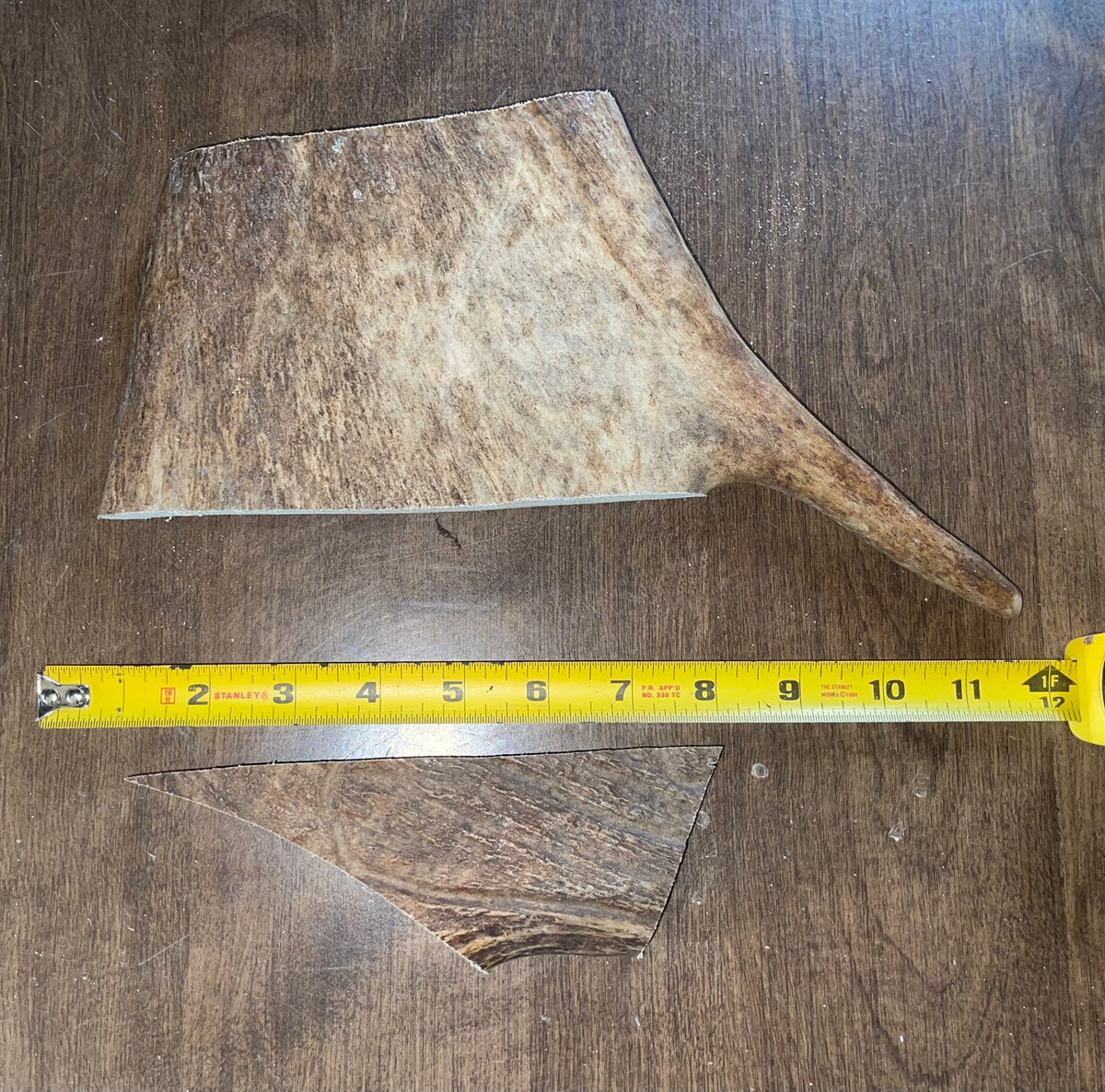 Sept-32 Moose Paddle XL /Med Duo for good chewers