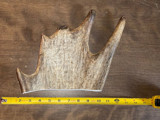 Aug-7 Monster Moose paddle XL for good chewers