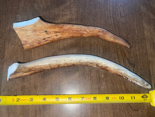 March-17 Moose Tine Large Duo for good chewers