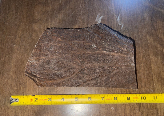 May21 Moose Paddle Chunk for good to very good chewers