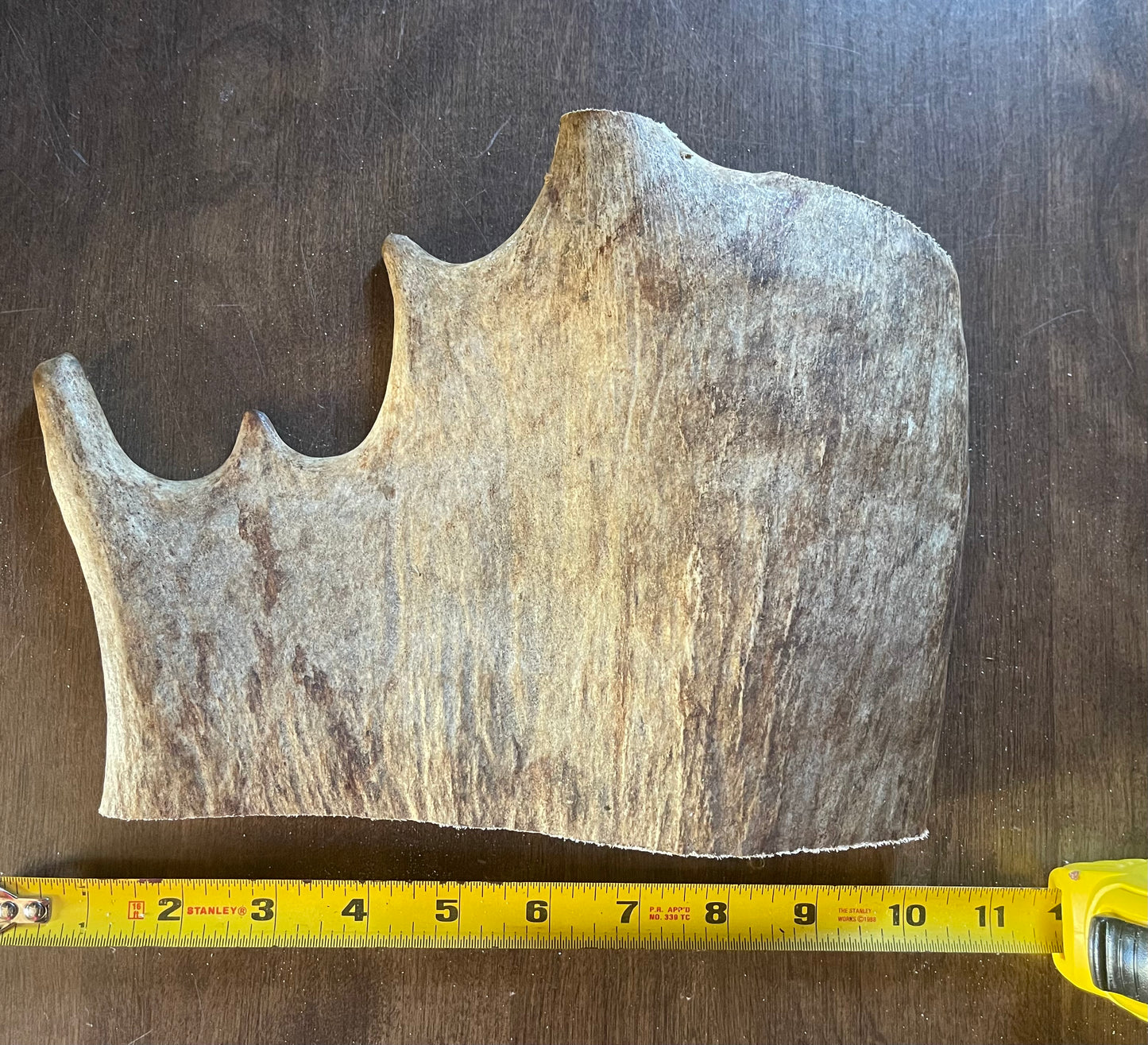 Sept-18 Monster Moose Paddle XL for Good chewers