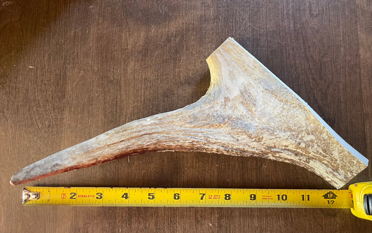 June-25 Moose Tine XL for medium to good chewers