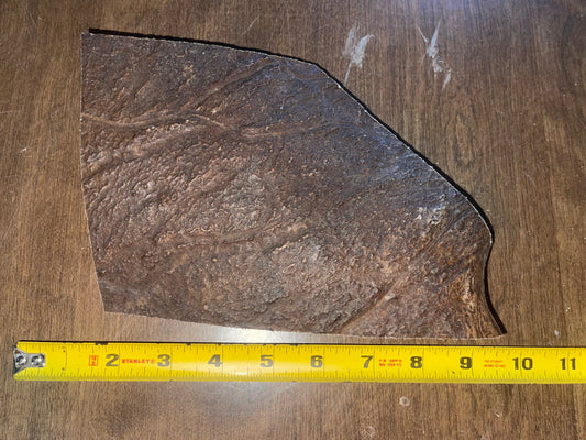 May20 Moose Paddle Chunk for good chewers
