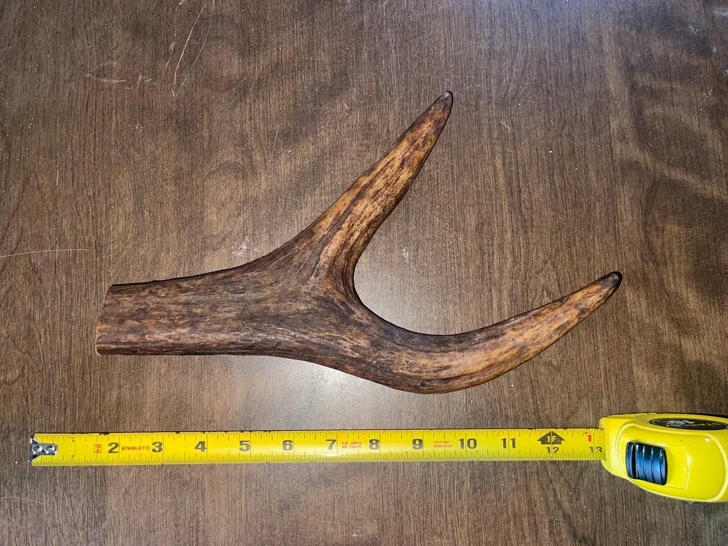 CL11-Monster Moose Claw