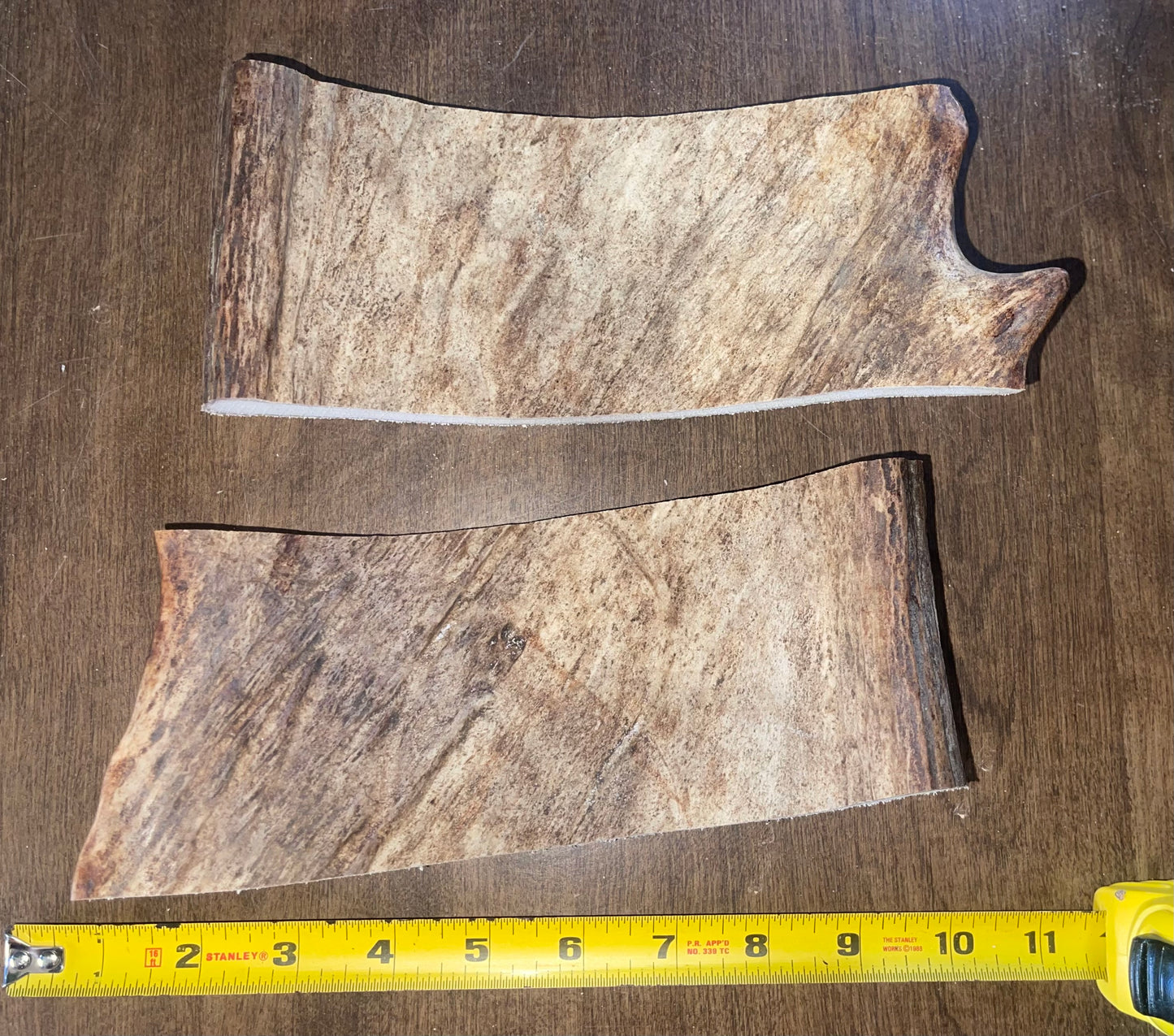 March-13 XLarge Moose Paddle Duo  for good chewers