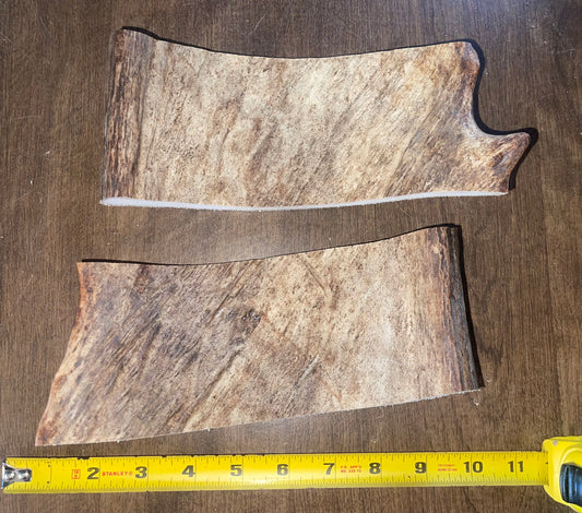 March-13 XLarge Moose Paddle Duo  for good chewers