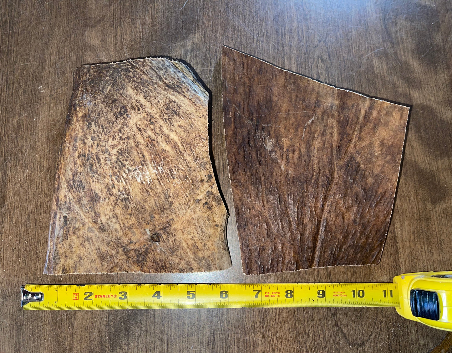 Jan-9 Moose Paddle Duo for medium chewers