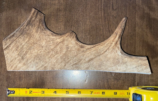 Dec-4 XL Plus Moose Paddle for  good chewers