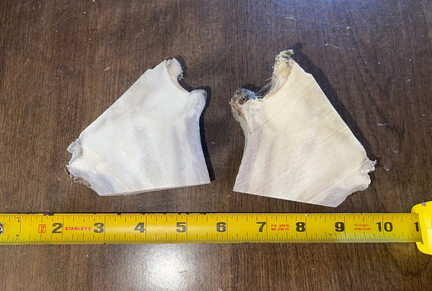 June-24 Moose Burr Split for good chewers