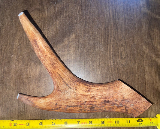 March-6 Moose Claw XLarge for good chewers