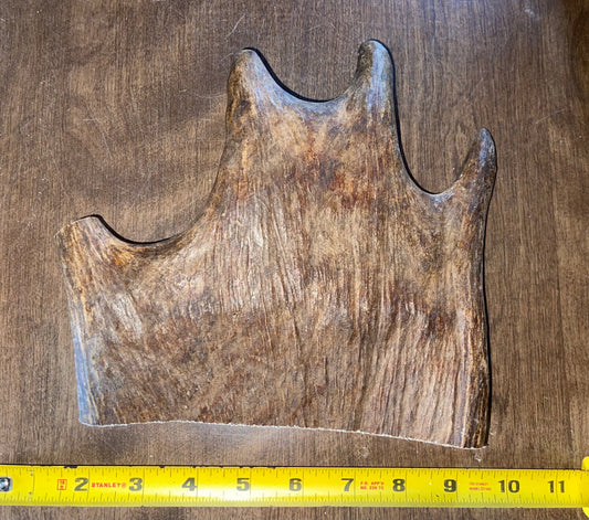 Sept-71-Monster Moose Paddle XL for good chewers