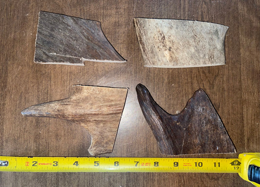 Sept-37-Small Moose Paddle Grab Bag for to medium to good chewers ( scratch and dent)