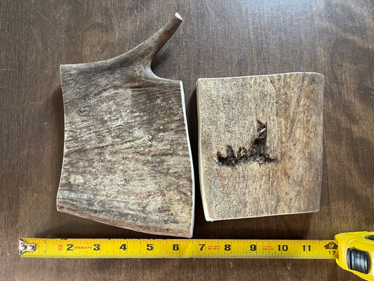 Sept-35-Moose Paddle Duo  for to medium to good chewers ( scratch and dent)