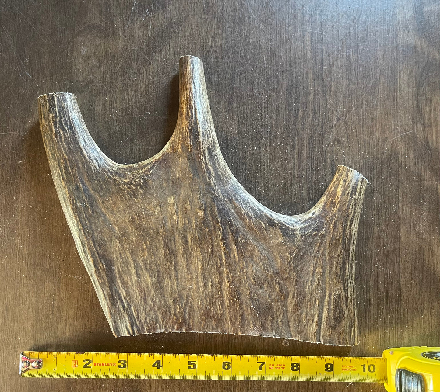 Sept-17 Monster Moose Paddle XL for Good chewers