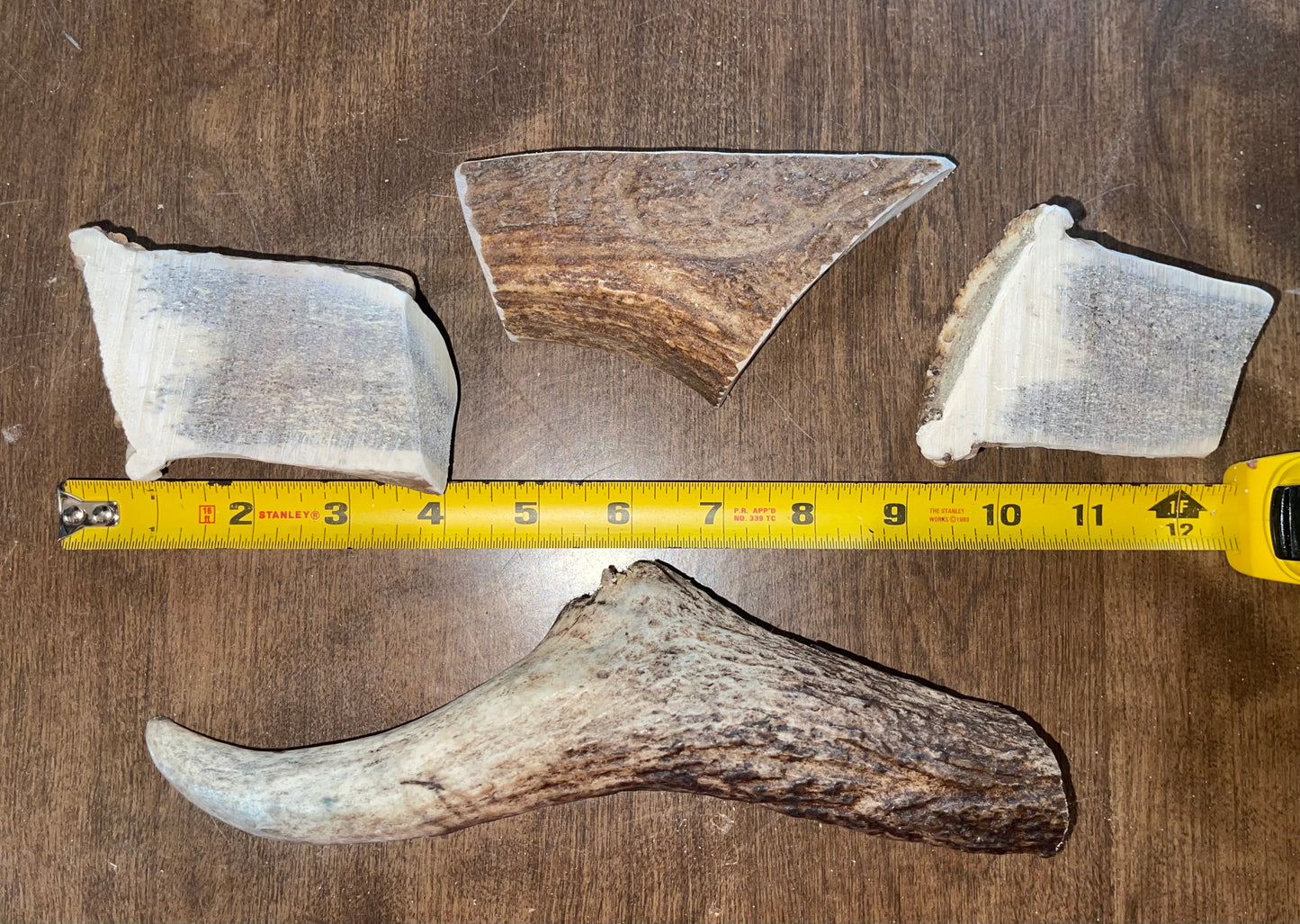 June-28 Elk Burr Shortie Split Duo/ medium moose paddle Chunk/ large tine  for good chewers