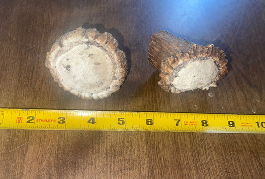 July-10  Elk Burr Duo for good chewers